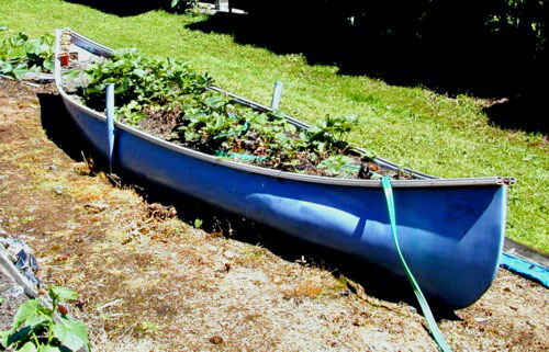 canoe